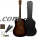 Sigma Guitars Mahogany Dreadnought Acoustic-Electric Guitar with ChromaCast Hard Case and Accessories, Shadowburst Finish   556555317
